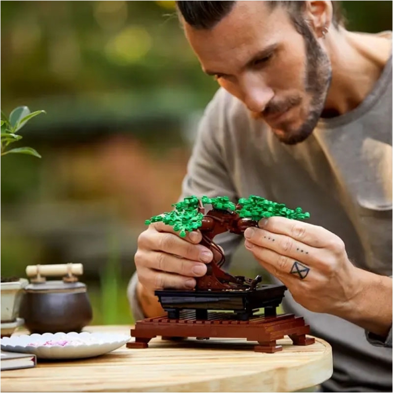 LEGO BOTANICAL COLLECTION BONSAI 3