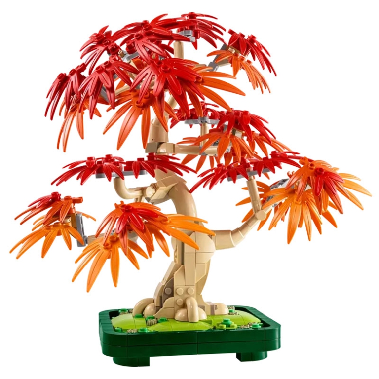 LEGO BOTANICALS BONSAI DI ACERO ROSSO GIAPPONESE 2