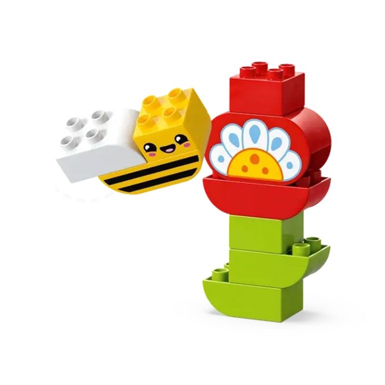 LEGO DUPLO GIARDINO E FIORI CREATIVI 2