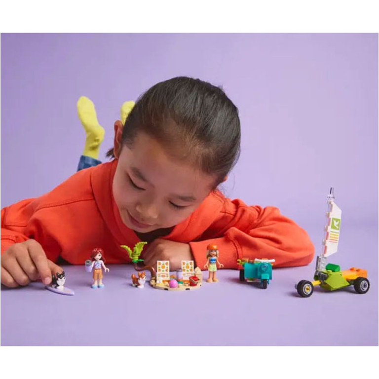LEGO FRIENDS AVVENTURE   CANINE SU WINDSKATE 5