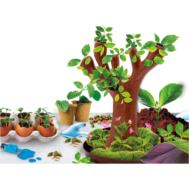 ESPERIMENTI DI BOTANICA 2