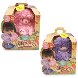 CURLIMALS