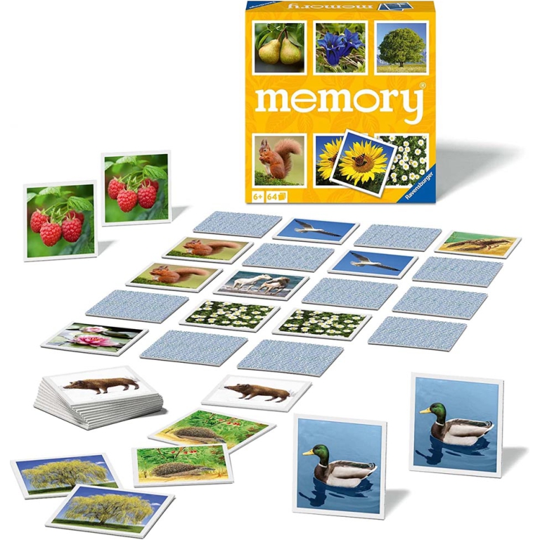 MEMORY NATURE 2