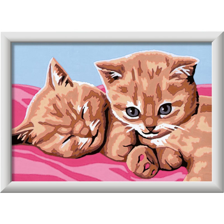 CREART GATTINI AMICI 18X13CM 2