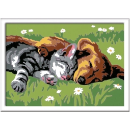 CREART CANE E GATTO DOL  CE SONNO 16X22CM