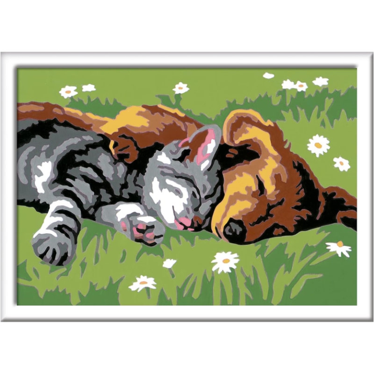 CREART CANE E GATTO DOL  CE SONNO 16X22CM