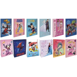 CARTELLA 3L CON ELASTICO DORSO 1 DISNEY/SUPEREROI