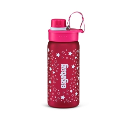 ERGOBAG BORRACCIA 550ML STERNCHEN