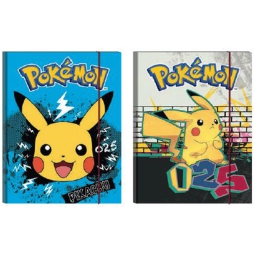 CARTELLA 3L POKEMON