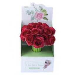 PENNA ROSA ROSSA 16PZ