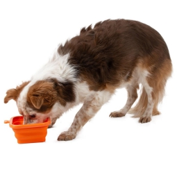 CIOTOLA PIEGHEVOLE BORDI RINFORZATI 350ML