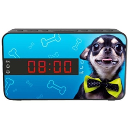 RADIOSVEGLIA DOPPIO ALLARME