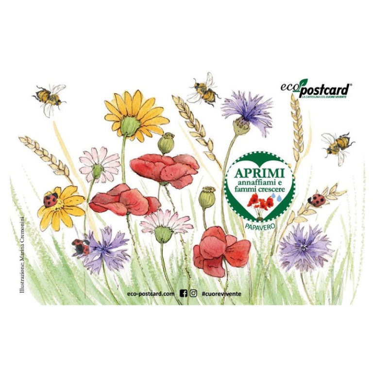 ECO-POSTCARD ILLUSTRATA  PIANTINE ASSORTITE