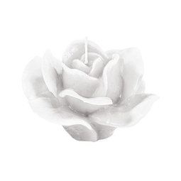 CANDELA FIORE ROSA BIANCA D100H55MM