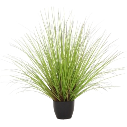 PIANTA VERDE H58CM IN    VASO