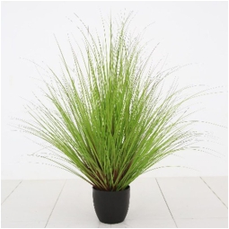 PIANTA VERDE IN VASO H115 CM