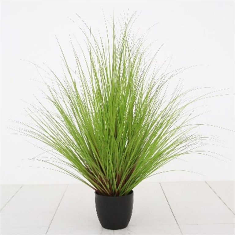 PIANTA VERDE IN VASO H115 CM