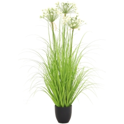 PIANTA PORRO H110CM IN   VASO