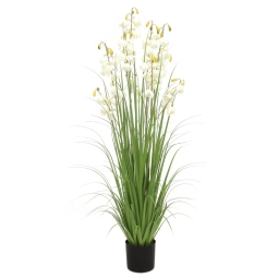 PIANTA FIORITA H150CM IN VASO