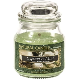 CANDELA 90GR VEGETALE IN GIARA VETRO COCONUT MINT