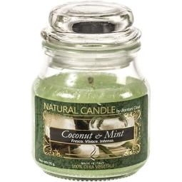 CANDELA VEGETALE 90GR IN GIARA VETRO COCONUT MINT