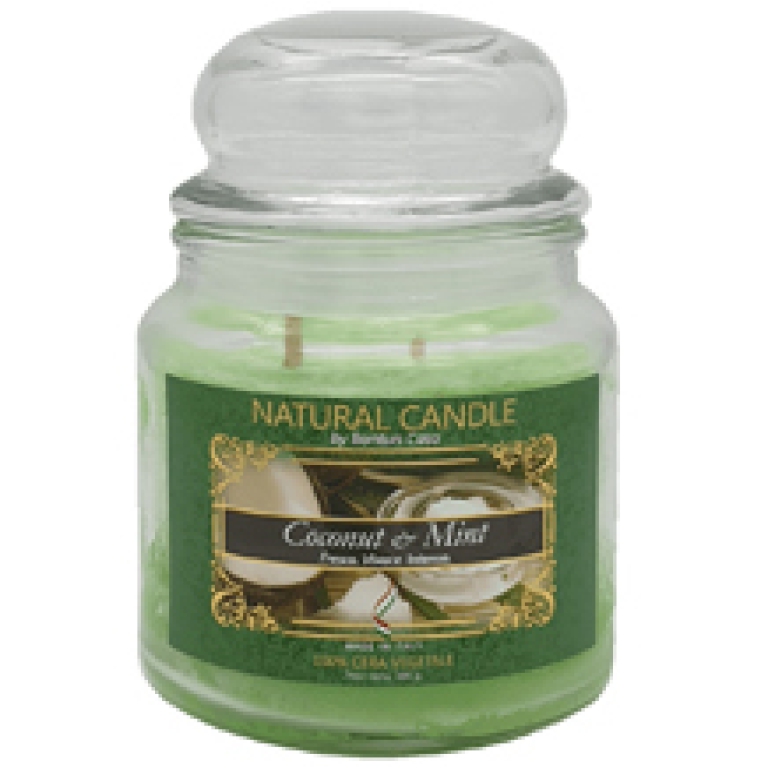 CANDELA VEGETALE 380GR IN GIARA VETRO COCONUT MINT