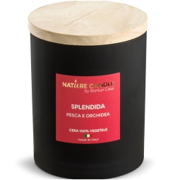 CANDELA 200GR VEGETALE VETRO SPLENDIDA LEIE'