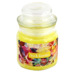 CANDELA 90GR VEGETALE IN GIARA VETRO IRIS&GINESTRA
