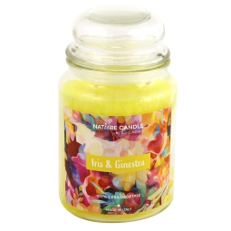 CANDELA 580GR VEGETALE IN GIARA VETRO IRIS GINESTR