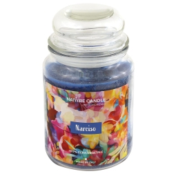 CANDELA 580GR VEGETALE IN GIARA VETRO NARCISO