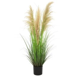 PIANTA PAMPAS H120CM IN  VASO