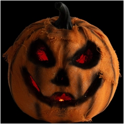 ZUCCA 16CM CON JUTA E LUCI