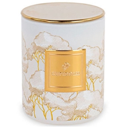 CANDELA INTRECCI AVORIO  CON SCATOLA D6H8CM