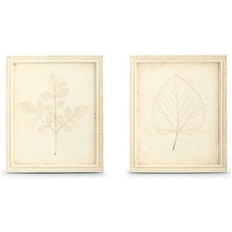QUADRO BOTANICO AVORIO   23X28CM SOGGETTI ASSORTITI