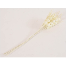 SPIGHE DI GRANO NATURALE 72PZ