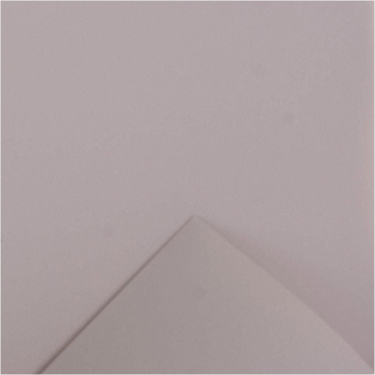 BOBINA PPL 100CMX20MT    TORTORA