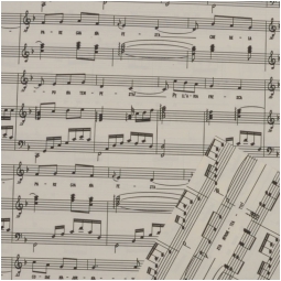 BOBINA PPL 100CMX25MT    SPARTITO MUSICALE