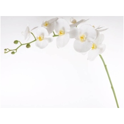 FIORE ORCHIDEA RAMO H105CM BIANCO