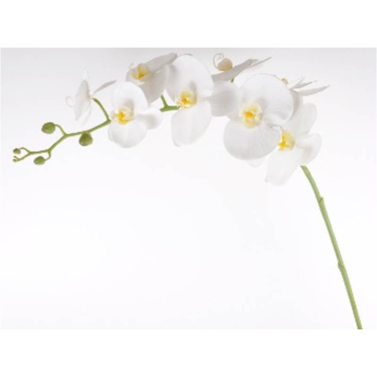 FIORE ORCHIDEA RAMO H105CM BIANCO