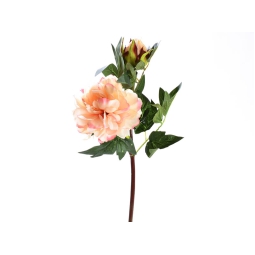 FIORE PEONIA RAMO H50CM ROSA