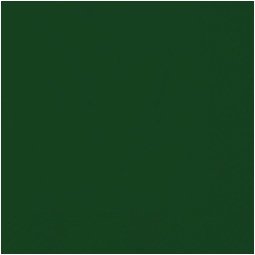 TOVAGLIOLI 33X33CM 40PZ CARTA 2 VELI VERDE FORESTA