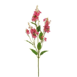 RAMO FIORE DITTAMO H82CM FUCSIA