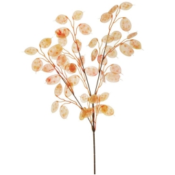 RAMO 48 FIORI LUNARIA    H75CM ARANCIONE