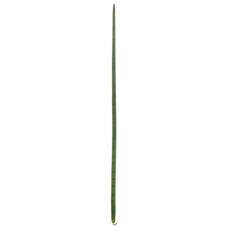 FOGLIA LINGUA DI SUOCERA H156CM
