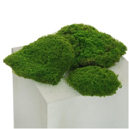 MUSCHIO VERDE 3PZ D15/20/25CM