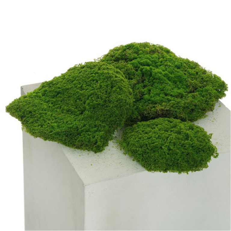 MUSCHIO VERDE 3PZ D15/20/25CM
