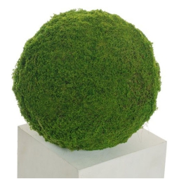 MUSCHIO ARTIFICIALE D32CM VERDE