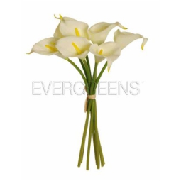 FIORE CALLA LILY MAZZO   7PZ H34CM BIANCA