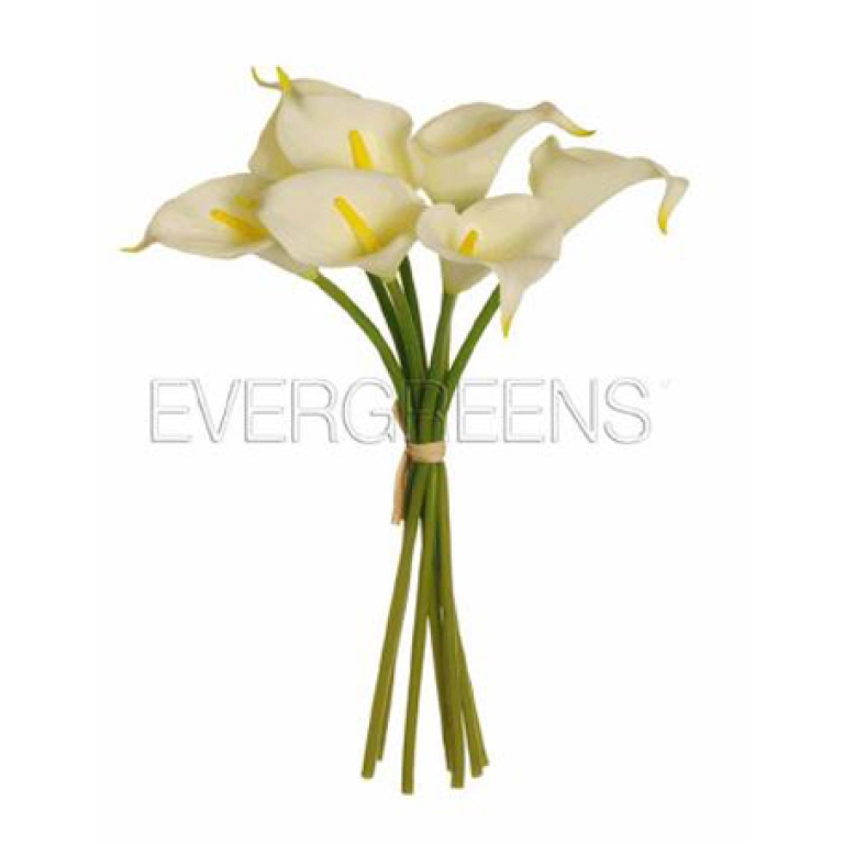 FIORE CALLA LILY MAZZO   7PZ H34CM BIANCA