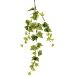 RAMO EDERA REAL TOUCH    H67CM